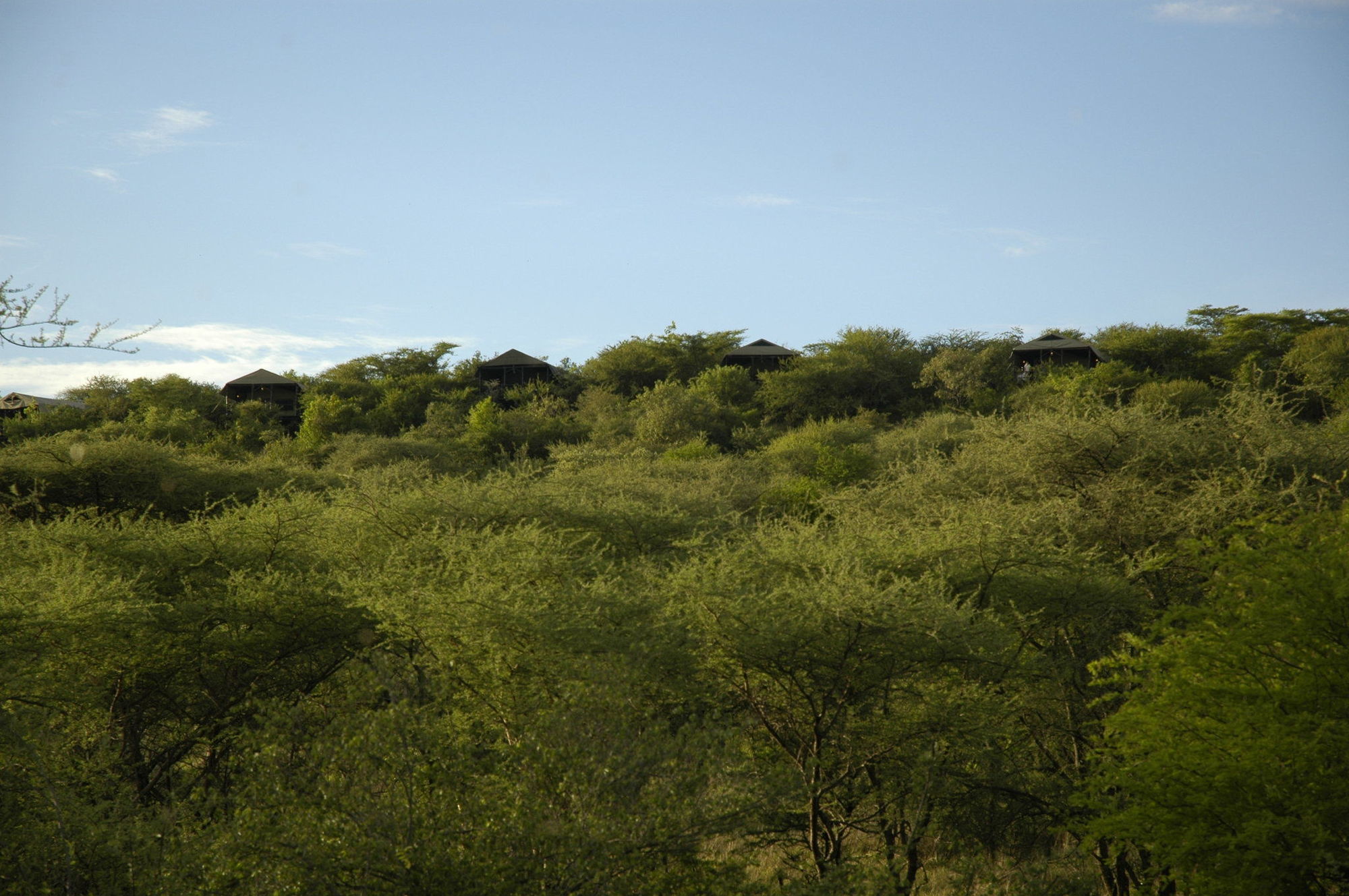 Kirawira Serena Camp Robanda Luaran gambar