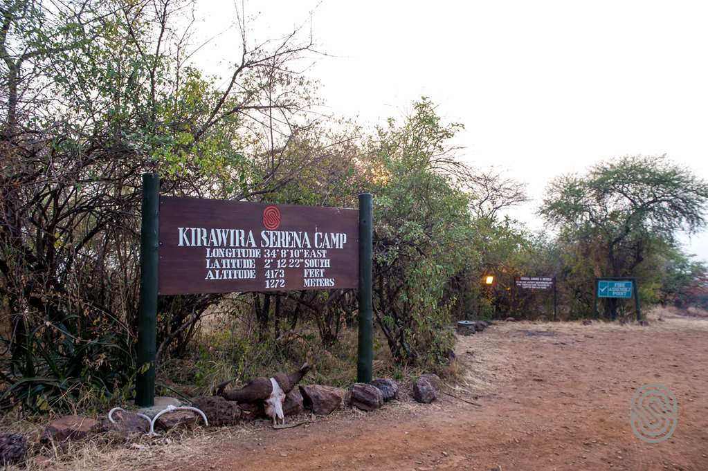 Kirawira Serena Camp Robanda Luaran gambar